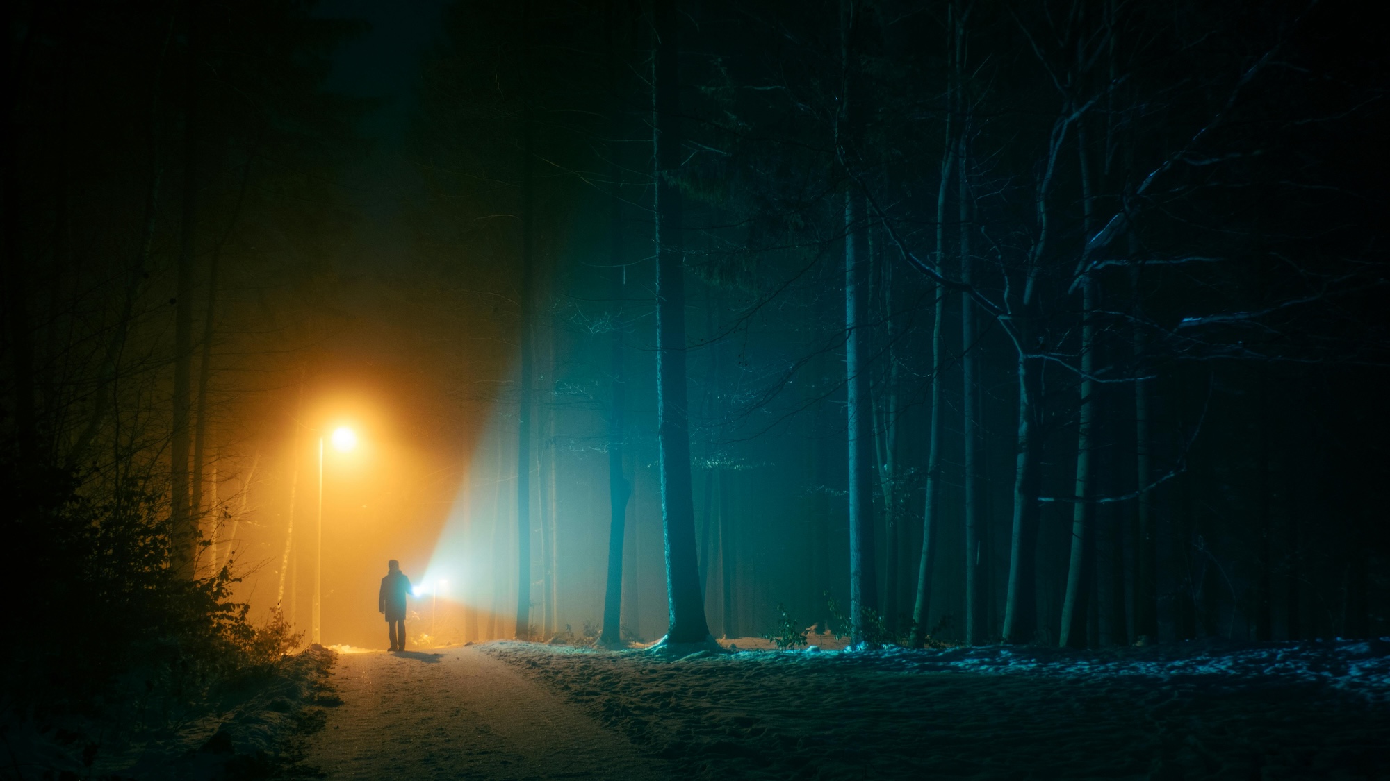 person under light in dark forest